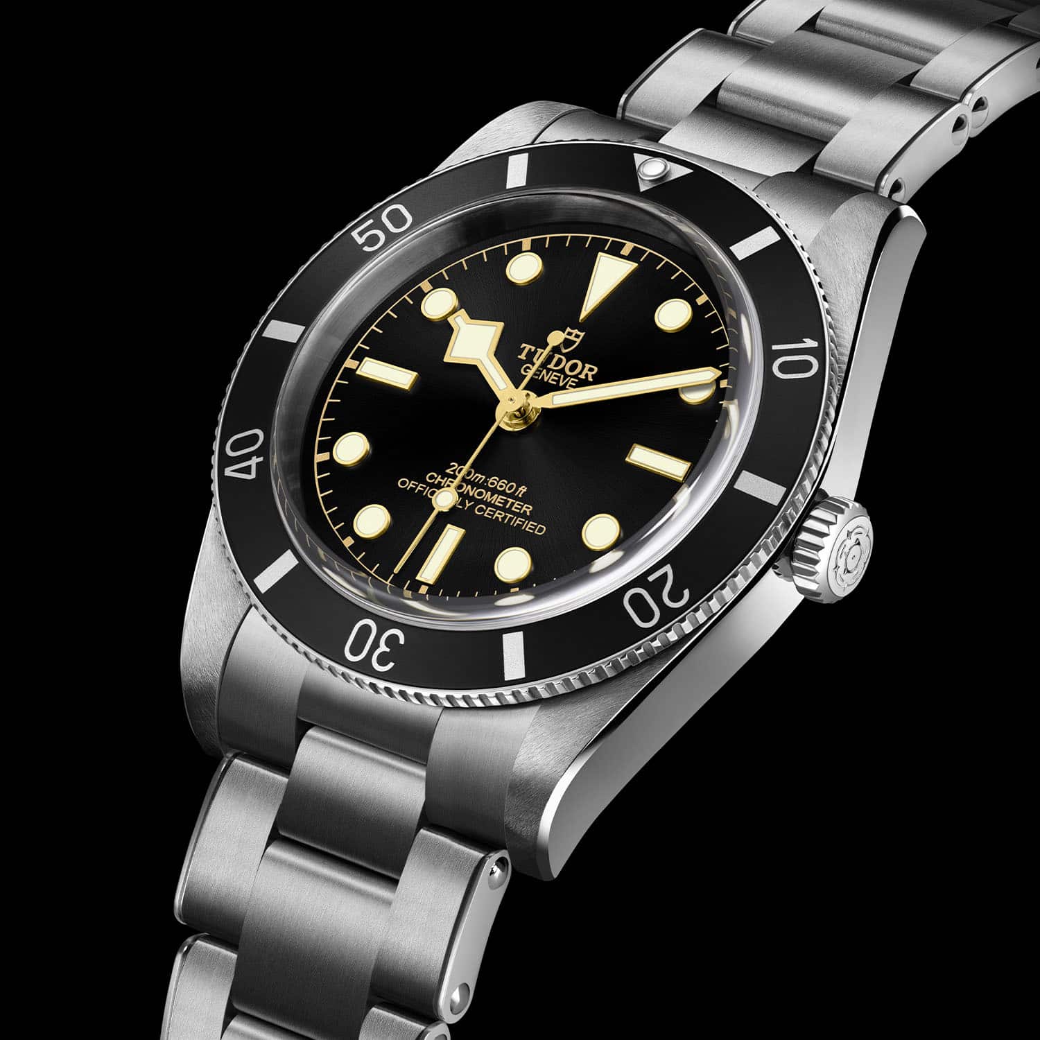 Tudor Black Bay 54 79000N