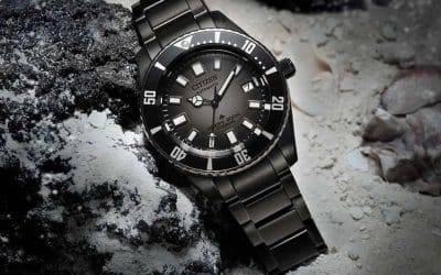 Citizen Promaster Fujitsubo Mechanical Diver 200m